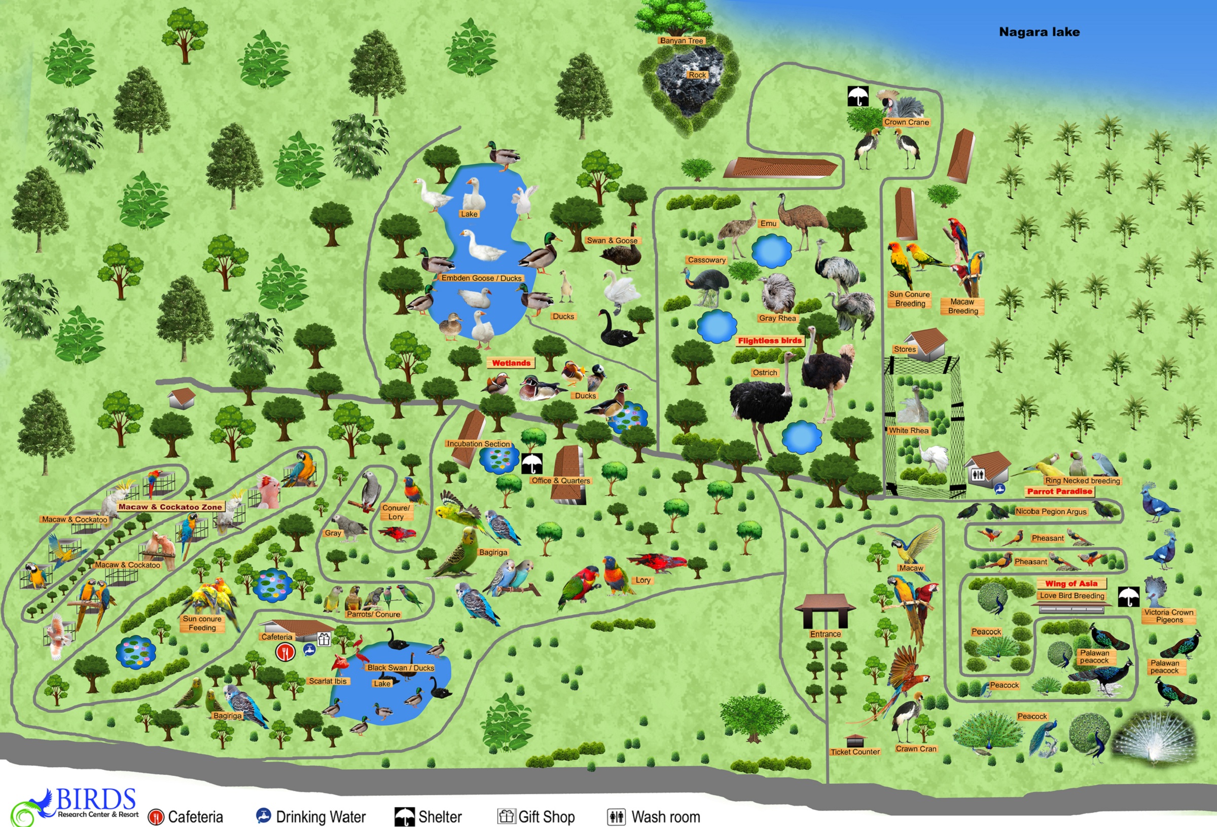 Birds Park map