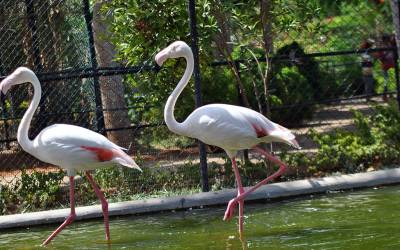 birds-park-hambantota