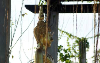 buddha-statue-birds-park