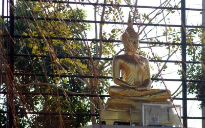 buddha-statue-birds-park