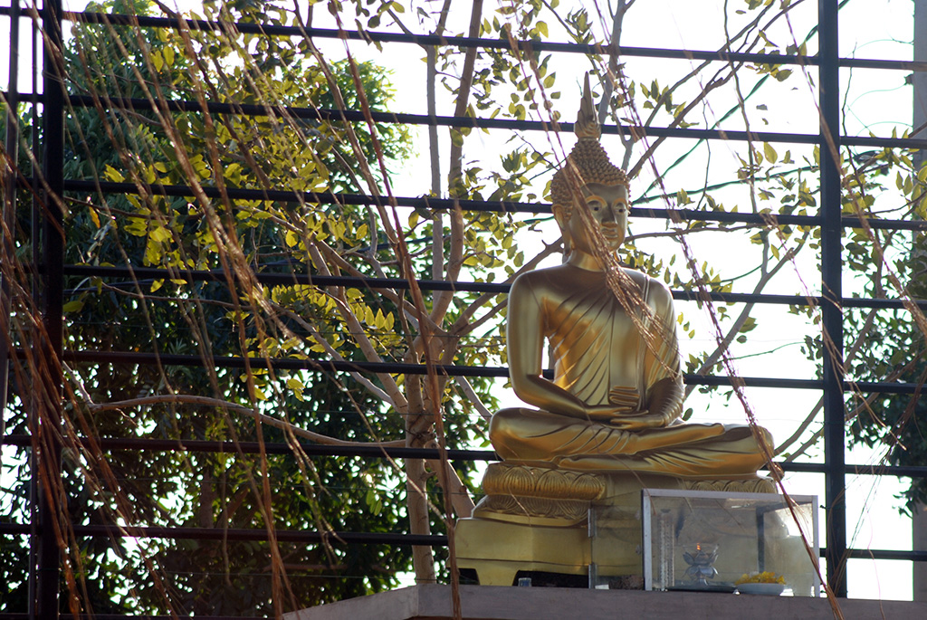 buddha-statue-birds-park
