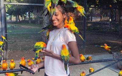 Chenuli-with-Sun-Parakeet-Aratinga-Solstitialis